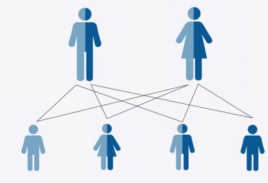 Trường hợp cả bố và mẹ mang gen bệnh, 25% khả năng con mắc bệnh