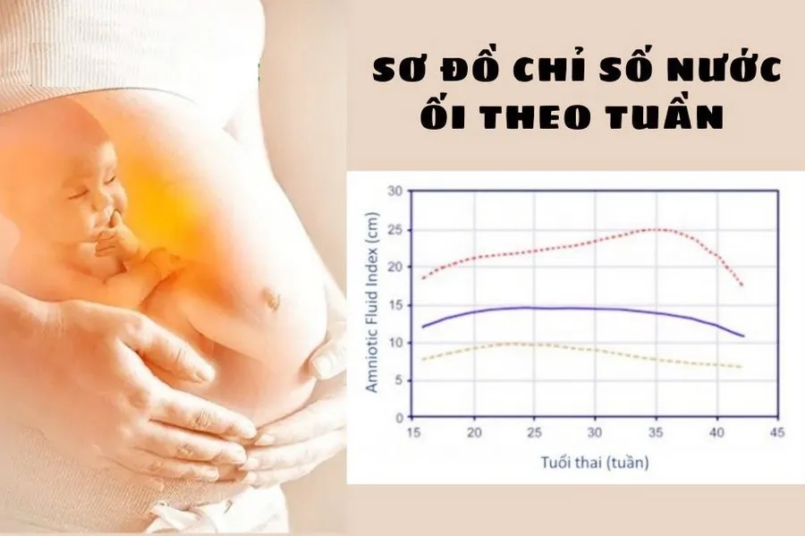Chỉ số nước ối biến đổi theo từng giai đoạn thai kỳ, phản ánh sự phát triển của thai nhi và cần theo dõi sát sao