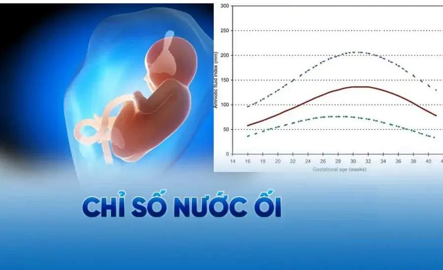 Chỉ số nước ối từ 60 - 180 mm là mức an toàn cho thai nhi, đảm bảo môi trường phát triển ổn định trong tử cung