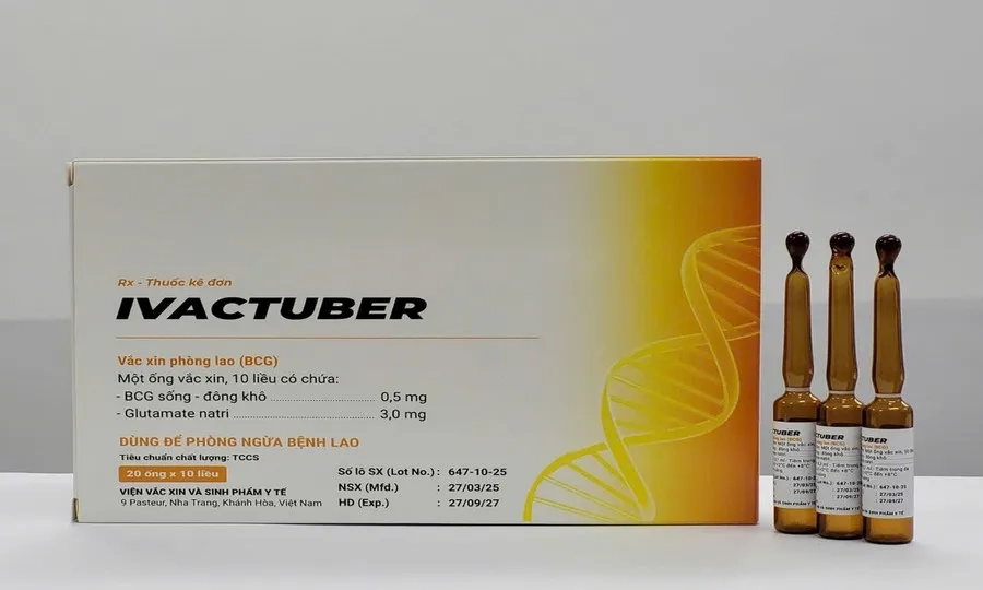 Vắc xin phòng lao Ivactuber do Việt Nam sản xuất