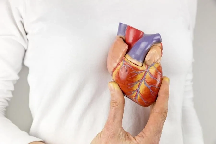 Dị tật tim bẩm sinh có thể gây suy tim nếu không được phát hiện và điều trị kịp thời