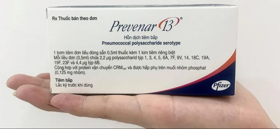 Vắc xin phòng ngừa 13 chủng phế cầu được chỉ định cho trẻ nhỏ từ 6 tuần tuổi và người lớn