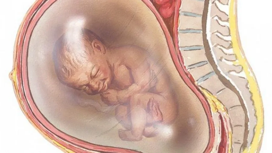 Nhận biết nguyên nhân để đưa ra phương pháp điều trị tốt nhất