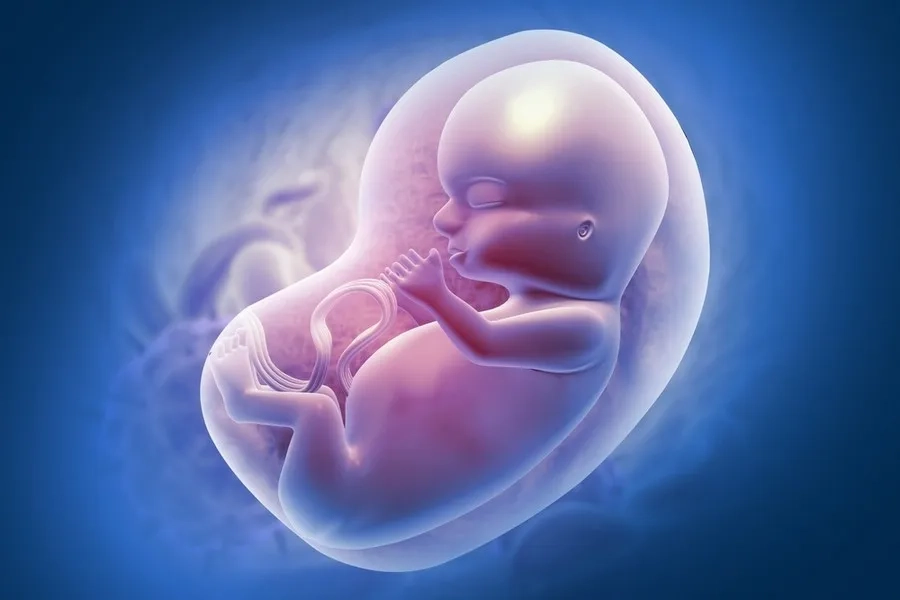 Dư ối hay đa ối là hiện tượng nước ối vượt ngưỡng trên mức bình thường