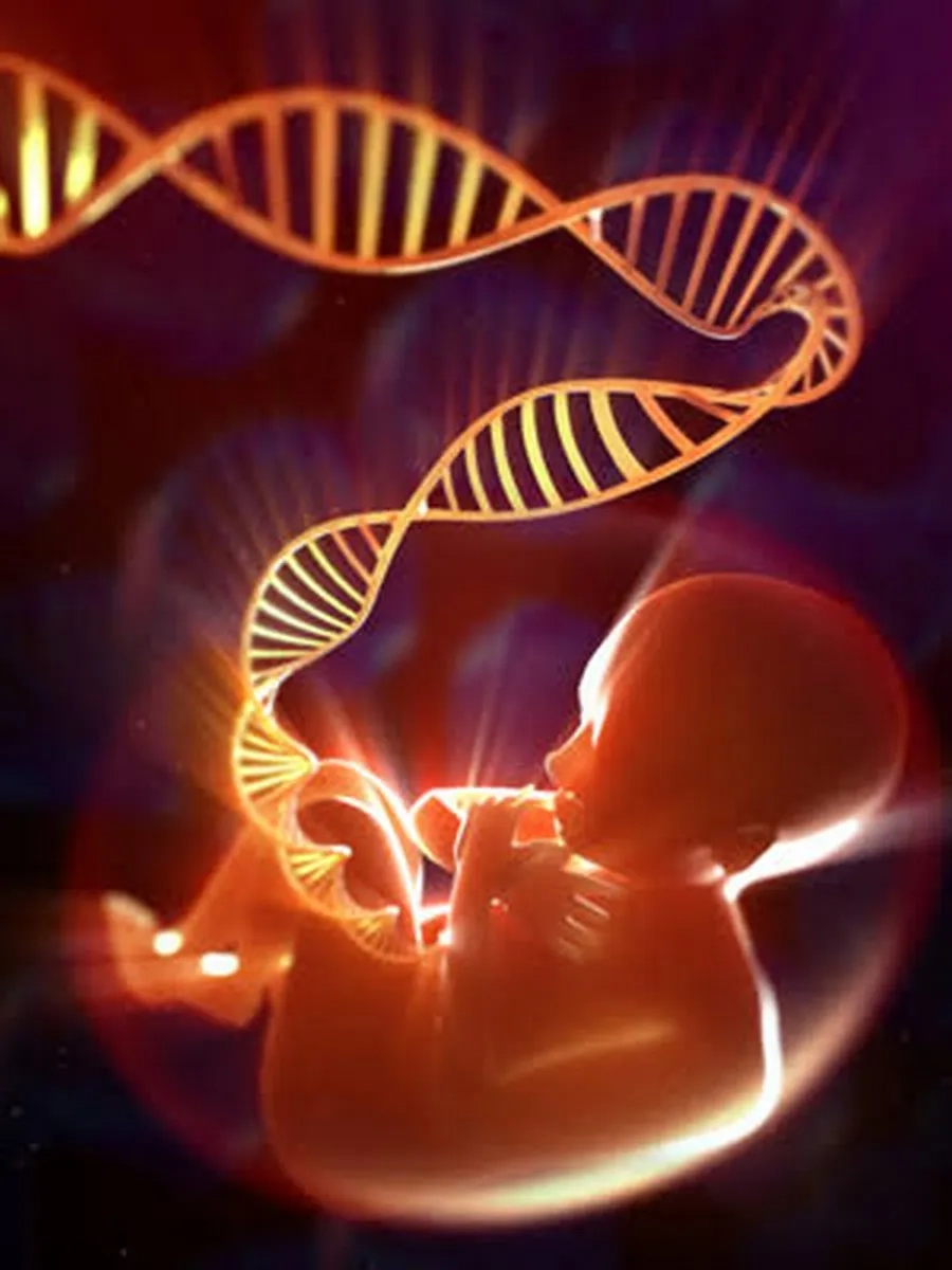 Bất thường nhiễm sắc thể và gene là một trong những nguyên nhân phổ biến gây dị tật thể chai