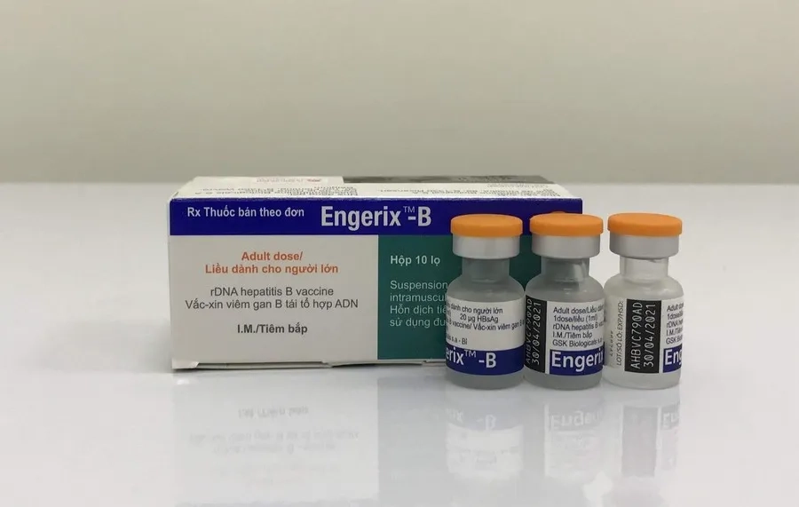 Engerix B 20mcg/1ml dành cho người lớn từ 20 tuổi trở lên