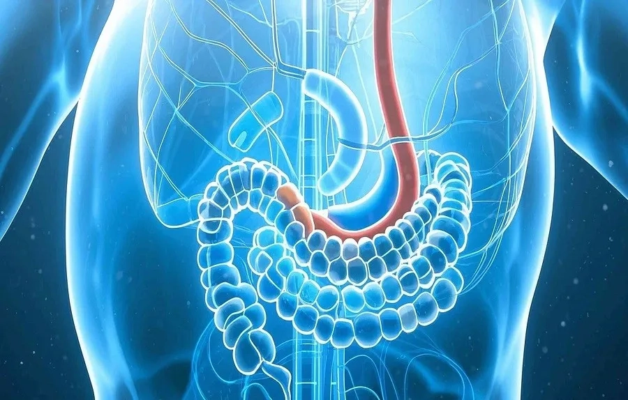 Hệ tiêu hóa suy yếu bất thường có thể liên quan đến ung thư