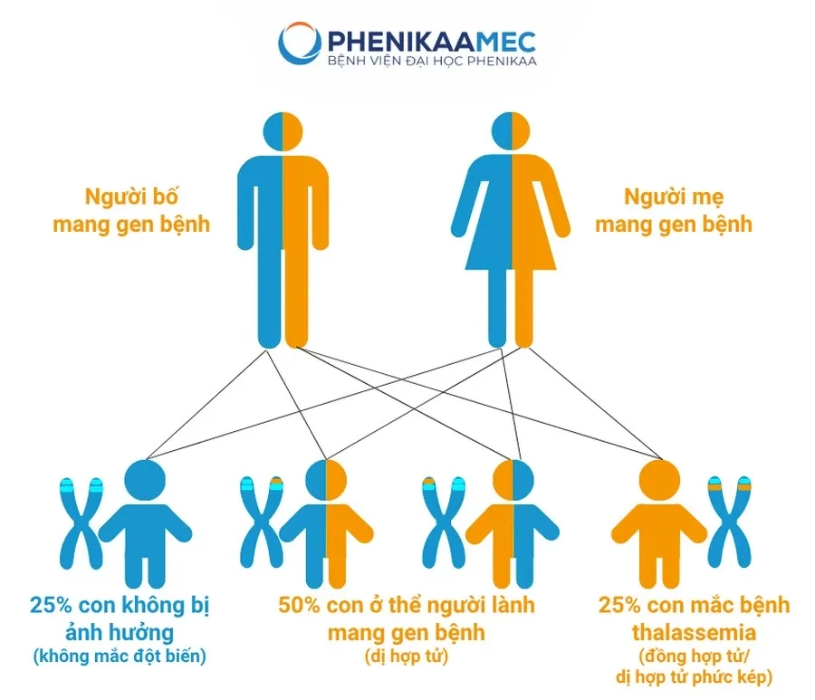 Nguyên nhân gây bệnh thalassemia là do di truyền đột biến gen lặn trên nhiễm sắc thể thường