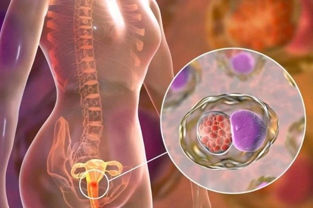 virus hpv gây ra bệnh gì