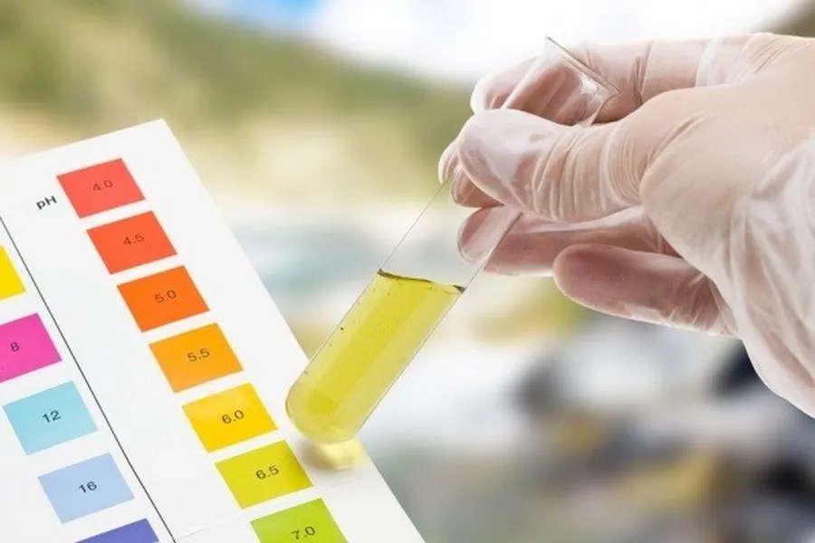 Xét nghiệm nước tiểu giúp phát hiện các bệnh lý về thận, nhiễm trùng đường tiết niệu