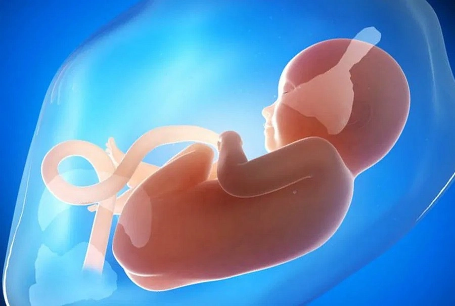 Nước ối có vai trò quan trọng trong sự phát triển của thai nhi