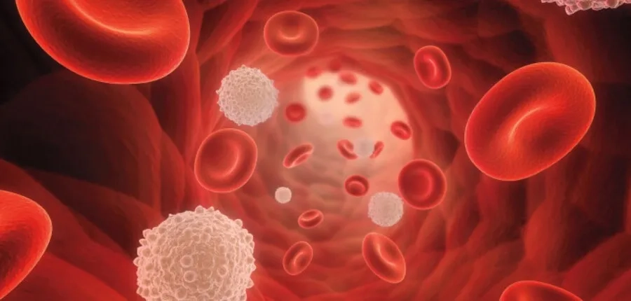 Rubella có thể làm giảm tiểu cầu và tăng nguy cơ xuất huyết