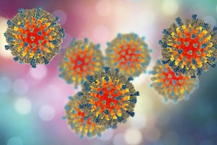 Virus Rubella lây truyền chủ yếu qua đường hô hấp và tiếp xúc với dịch tiết chứa virus
