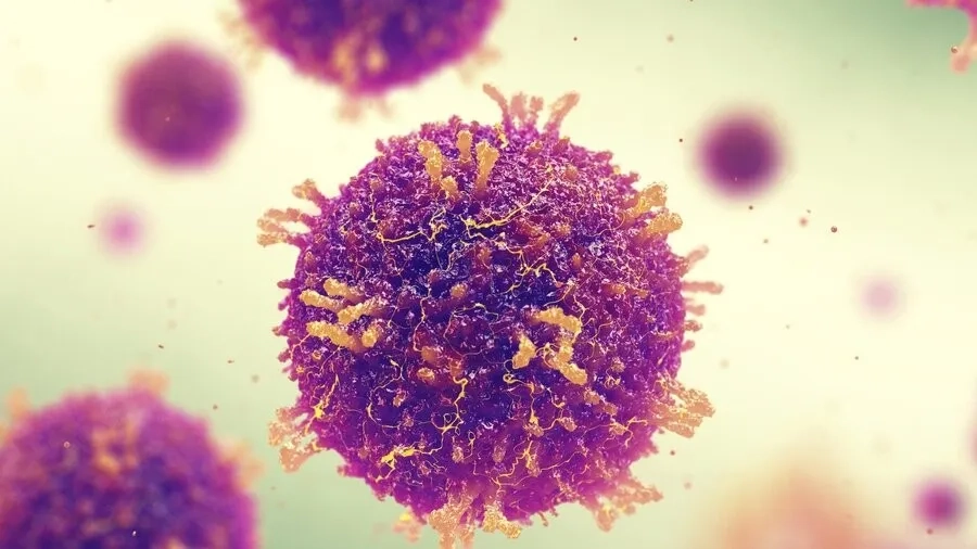 Bệnh sởi do virus sởi gây ra, trong khi sốt phát ban có thể liên quan đến nhiều loại virus khác nhau