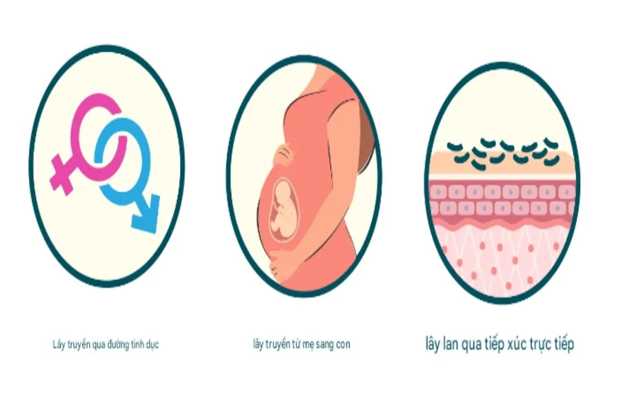 HPV chủ yếu lây qua đường tình dục, tiếp xúc da với da và truyền từ mẹ sang con