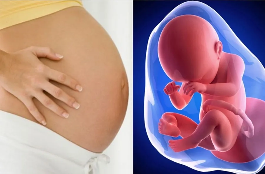 Nước ối là phần thiết yếu giúp bảo vệ và hỗ trợ thai nhi phát triển