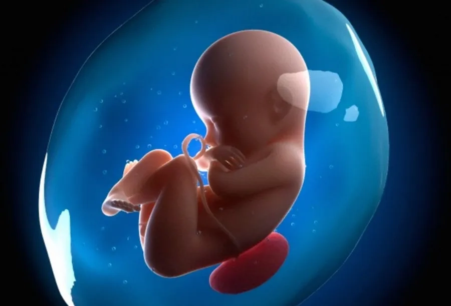 Nước ối giúp thai nhi phát triển toàn diện và an toàn trong tử cung