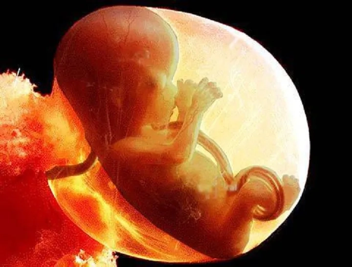 Nước ối không đồng nhất là dấu hiệu cảnh báo môi trường quanh thai nhi có vấn đề, cần sự quan tâm y tế 