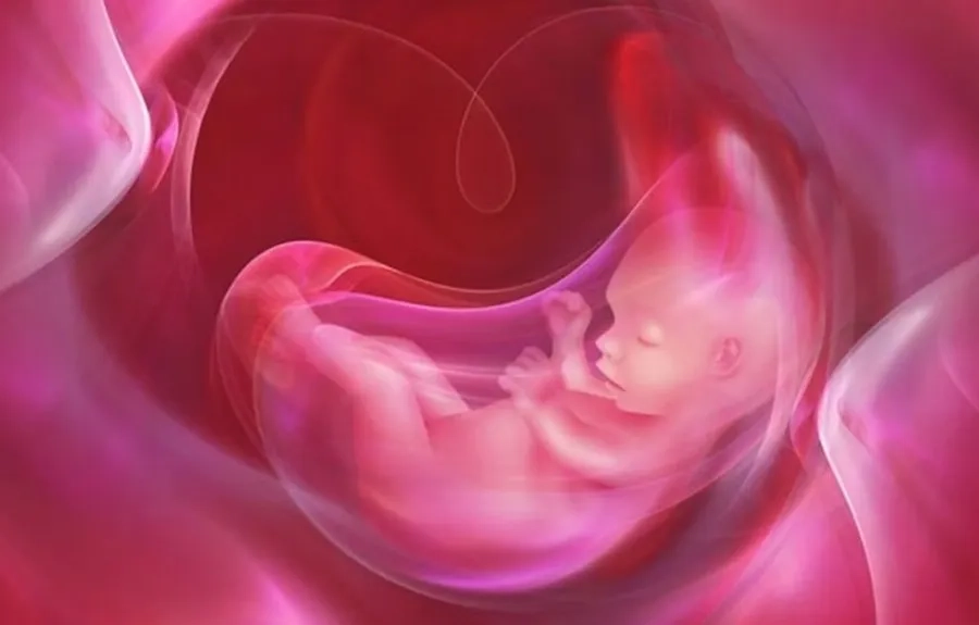 Nhiễm trùng ối là bệnh lý nguy hiểm, cần xử trí kịp thời để tránh các biến chứng đe dọa sức khỏe mẹ và bé
